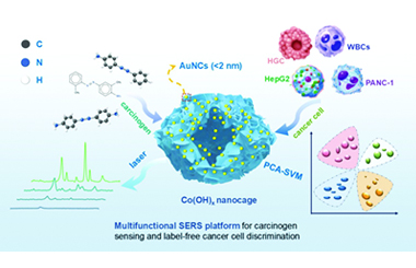 AuNCs@Co(OH)x nanocage-based SERS platform for carcinogen detection and cancer cell classification 2026.101039